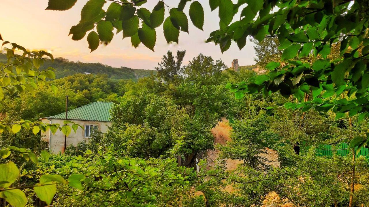 Vaso'S Guesthouse Katskhi Екстериор снимка