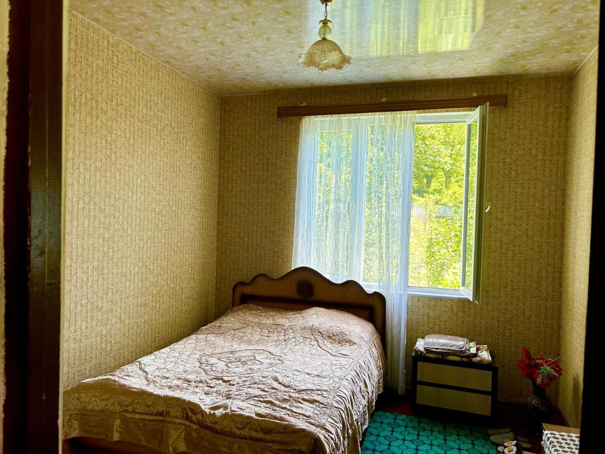 Vaso'S Guesthouse Katskhi Екстериор снимка